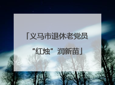 义马市退休老党员“红烛”润新苗