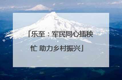 乐至：军民同心插秧忙 助力乡村振兴