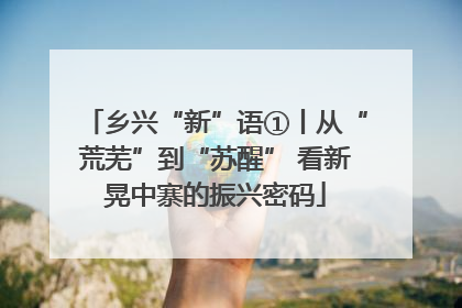 乡兴“新”语①丨从“荒芜”到“苏醒” 看新晃中寨的振兴密码