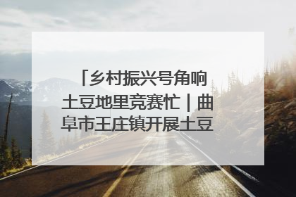 乡村振兴号角响 土豆地里竞赛忙｜曲阜市王庄镇开展土豆收获劳动竞赛