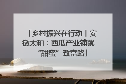 乡村振兴在行动丨安徽太和：西瓜产业铺就“甜蜜”致富路