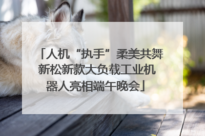 人机“执手”柔美共舞 新松新款大负载工业机器人亮相端午晚会