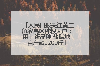 人民日报关注黄三角农高区种粮大户：用上新品种 盐碱地亩产超1200斤