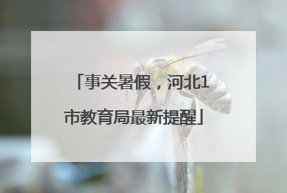 事关暑假，河北1市教育局最新提醒
