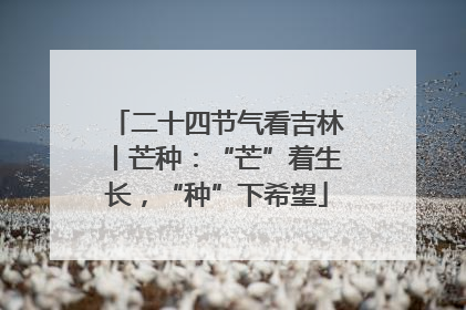 二十四节气看吉林丨芒种：“芒”着生长，“种”下希望