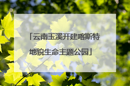 云南玉溪开建喀斯特地貌生命主题公园