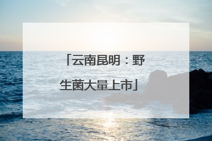 云南昆明：野生菌大量上市