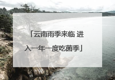 云南雨季来临 进入一年一度吃菌季