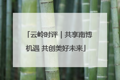 云岭时评｜共享南博机遇 共创美好未来