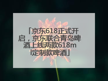 京东618正式开启，京东联合青岛啤酒上线两款618ml定制款啤酒
