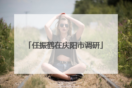 任振鹤在庆阳市调研