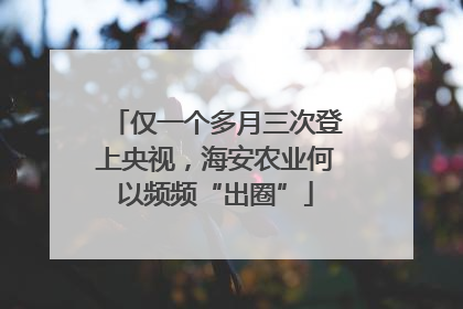 仅一个多月三次登上央视，海安农业何以频频“出圈”
