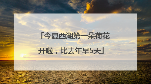 今夏西湖第一朵荷花开啦，比去年早5天