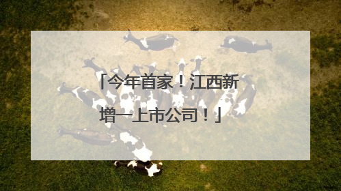 今年首家！江西新增一上市公司！