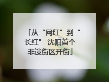 从“网红”到“长红” 沈阳首个非遗街区开街