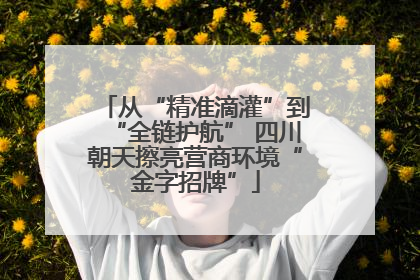 从“精准滴灌”到“全链护航” 四川朝天擦亮营商环境“金字招牌”