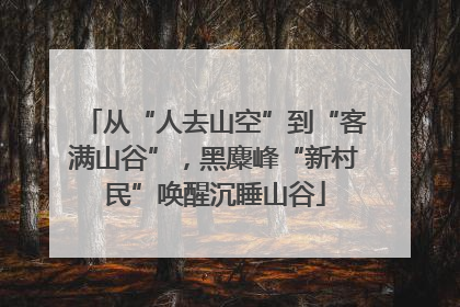 从“人去山空”到“客满山谷”，黑麋峰“新村民”唤醒沉睡山谷