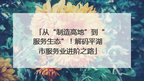 从“制造高地”到“服务生态”！解码平湖市服务业进阶之路