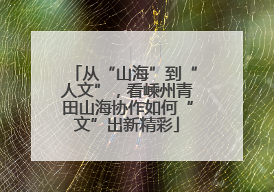 从“山海”到“人文”，看嵊州青田山海协作如何“文”出新精彩