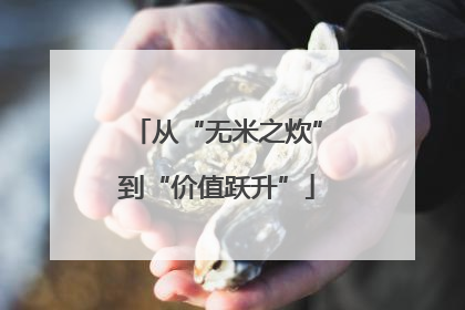 从“无米之炊”到“价值跃升”