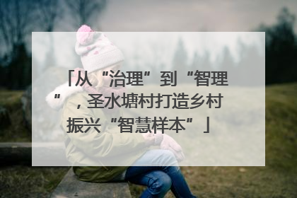 从“治理”到“智理”，圣水塘村打造乡村振兴“智慧样本”