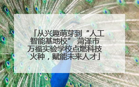 从兴趣萌芽到“人工智能基地校” 菏泽市万福实验学校点燃科技火种，赋能未来人才