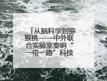 从脑科学到猕猴桃——中外联合实验室奏响“一带一路”科技合作交响曲
