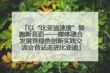 以“比亚迪速度”领跑新赛道——媒体融合发展暨绿色创新实践交流会首站走进比亚迪