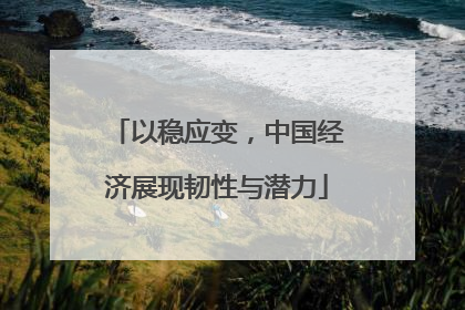 以稳应变，中国经济展现韧性与潜力