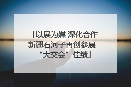以展为媒 深化合作 新疆石河子再创参展“大交会”佳绩