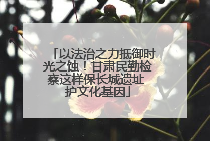 以法治之力抵御时光之蚀！甘肃民勤检察这样保长城遗址 护文化基因