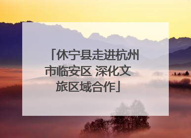休宁县走进杭州市临安区 深化文旅区域合作