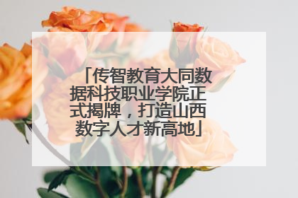 传智教育大同数据科技职业学院正式揭牌，打造山西数字人才新高地