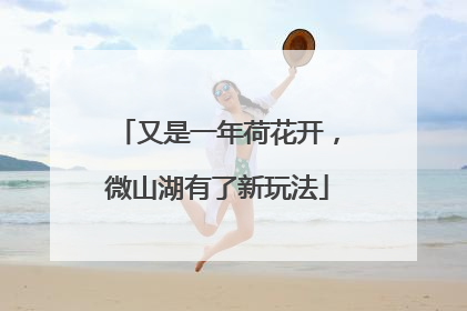 又是一年荷花开，微山湖有了新玩法