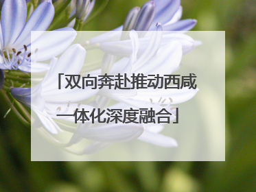 双向奔赴推动西咸一体化深度融合