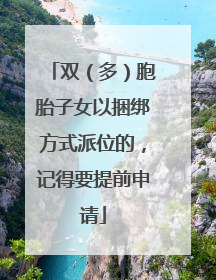 双（多）胞胎子女以捆绑方式派位的，记得要提前申请