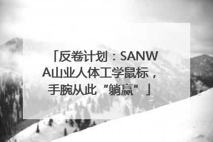 反卷计划：SANWA山业人体工学鼠标，手腕从此“躺赢”