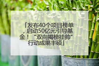 发布40个项目榜单，启动50亿元引导基金！“双向揭榜挂帅”行动成果丰硕
