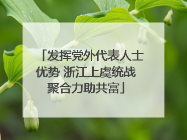 发挥党外代表人士优势 浙江上虞统战聚合力助共富
