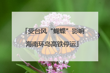 受台风“蝴蝶”影响 海南环岛高铁停运
