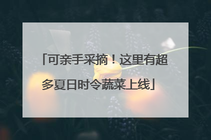 可亲手采摘！这里有超多夏日时令蔬菜上线