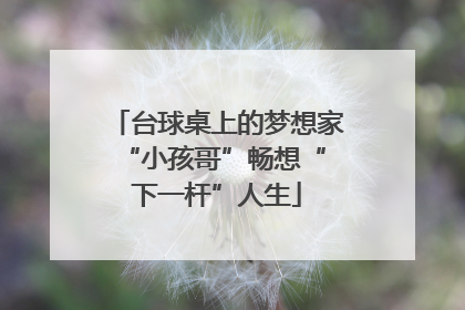 台球桌上的梦想家 “小孩哥”畅想“下一杆”人生