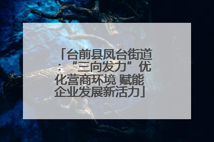 台前县凤台街道：“三向发力”优化营商环境 赋能企业发展新活力