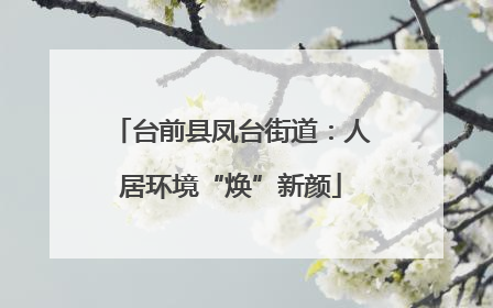 台前县凤台街道：人居环境“焕”新颜
