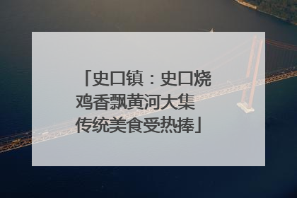史口镇：史口烧鸡香飘黄河大集 传统美食受热捧