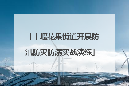 十堰花果街道开展防汛防灾防溺实战演练