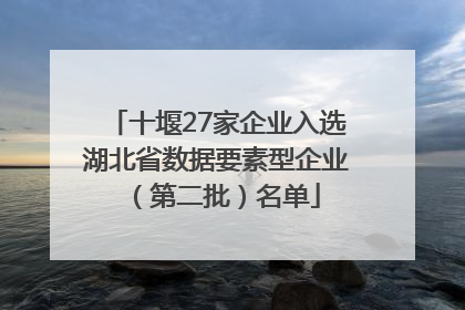 十堰27家企业入选湖北省数据要素型企业（第二批）名单
