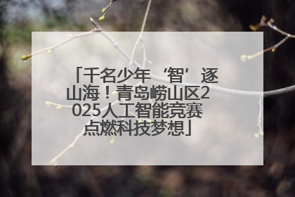 千名少年‘智’逐山海！青岛崂山区2025人工智能竞赛点燃科技梦想