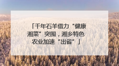 千年石羊借力“健康湘菜”突围，湘乡特色农业加速“出省”