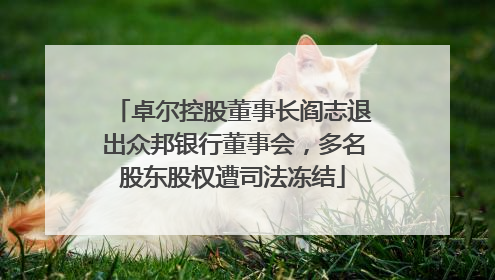 卓尔控股董事长阎志退出众邦银行董事会，多名股东股权遭司法冻结